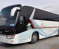 聊城到藁城长途客车