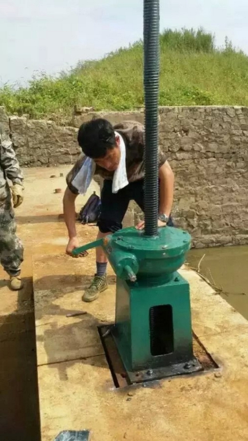 拦水闸汕头 生产螺杆启闭机闸门报价