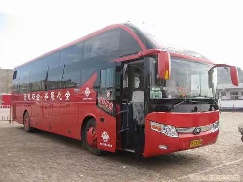 客车:金湖到苍南的汽车大巴车/全程高速+托运货运快运