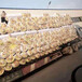  How much is Xining rock wool insulation roll