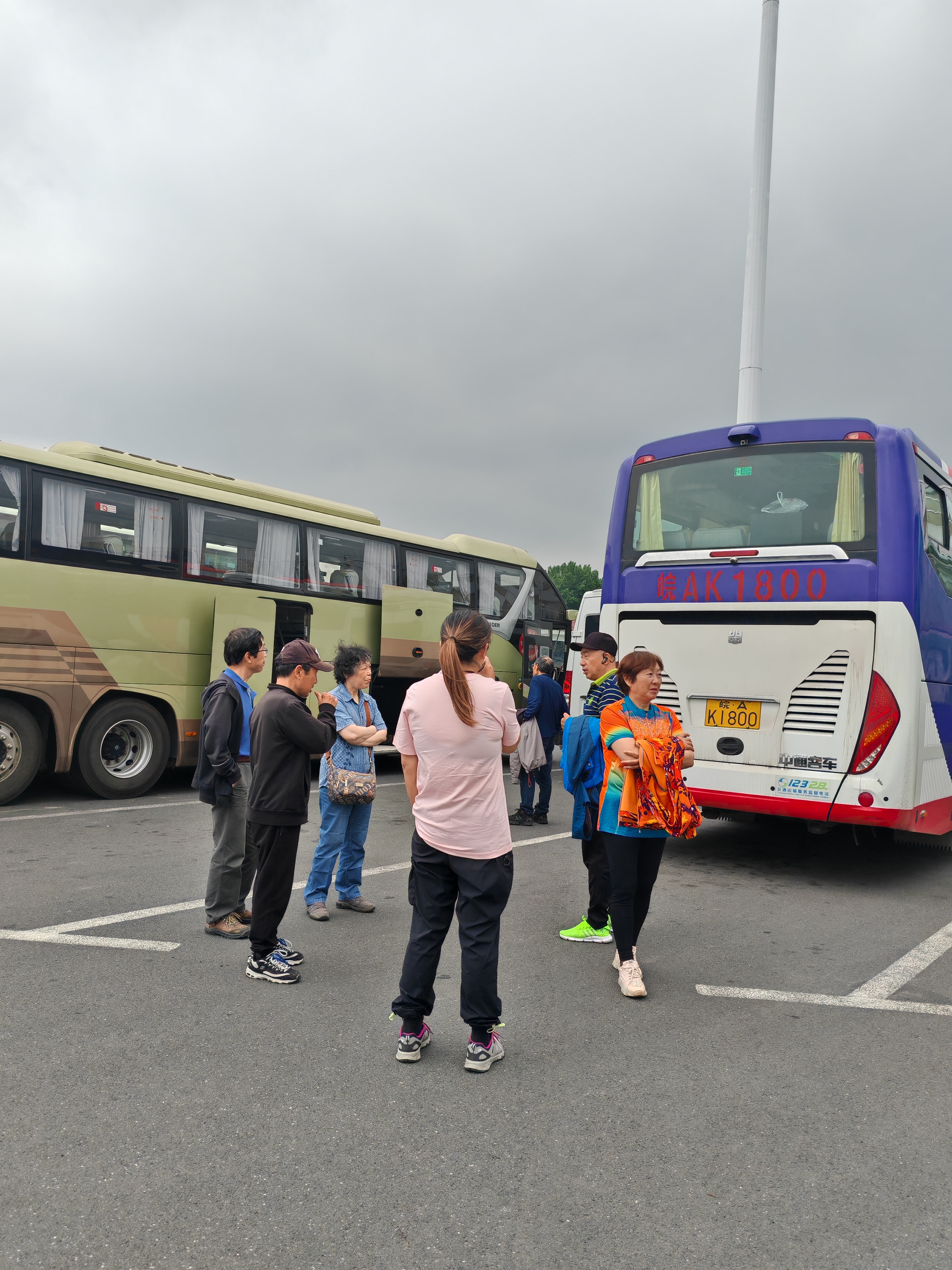 购票/温州到新泰的客车新增班次查询/客车