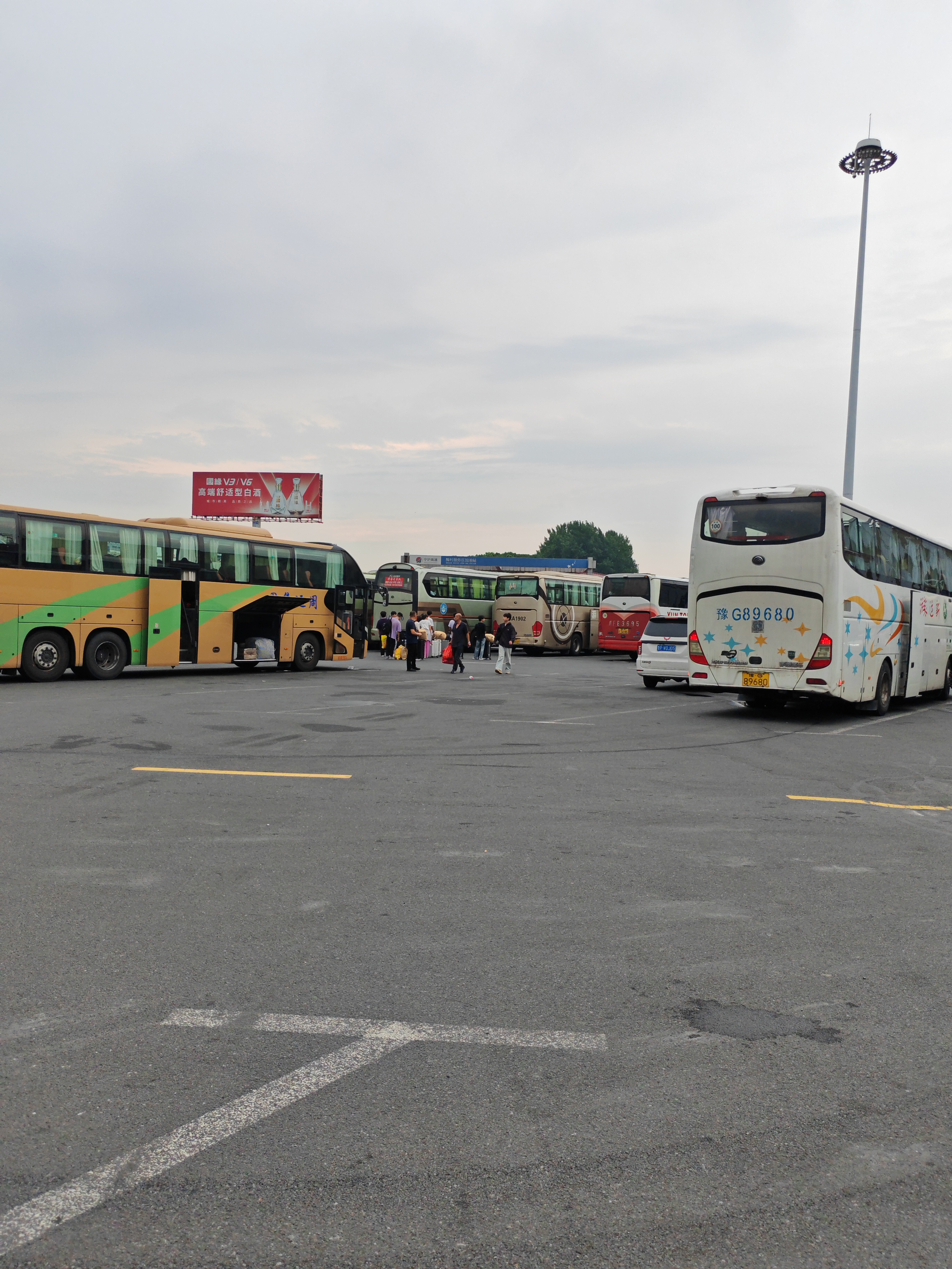 购票/龙港到莱阳客车新增大巴/客车