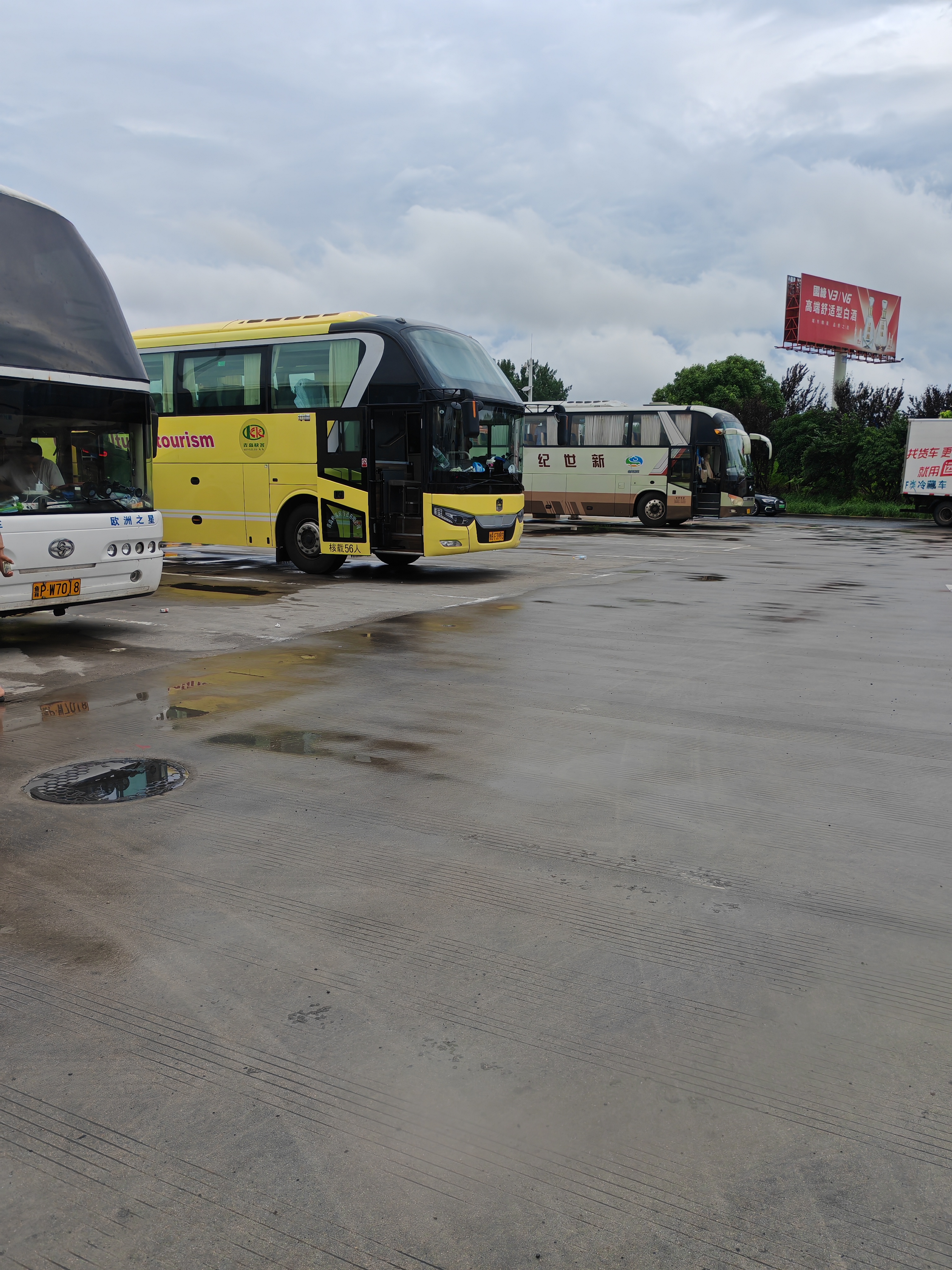 购票/龙港到邳州直达客车推荐路线/客车