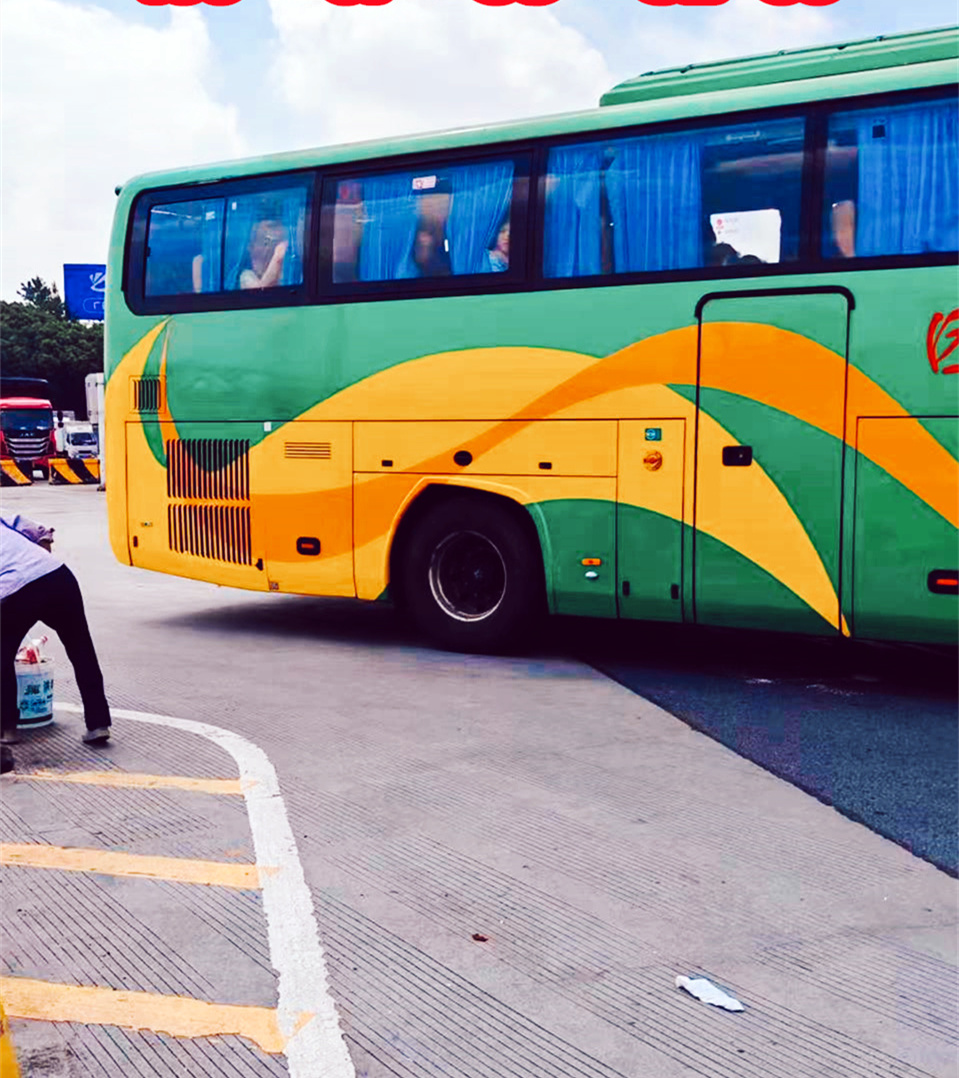 购票/龙港到桐柏长途客车新增汽车/客车