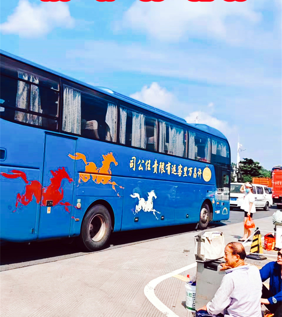 购票/苍南到永川长途直达大巴营运长途汽车/客车