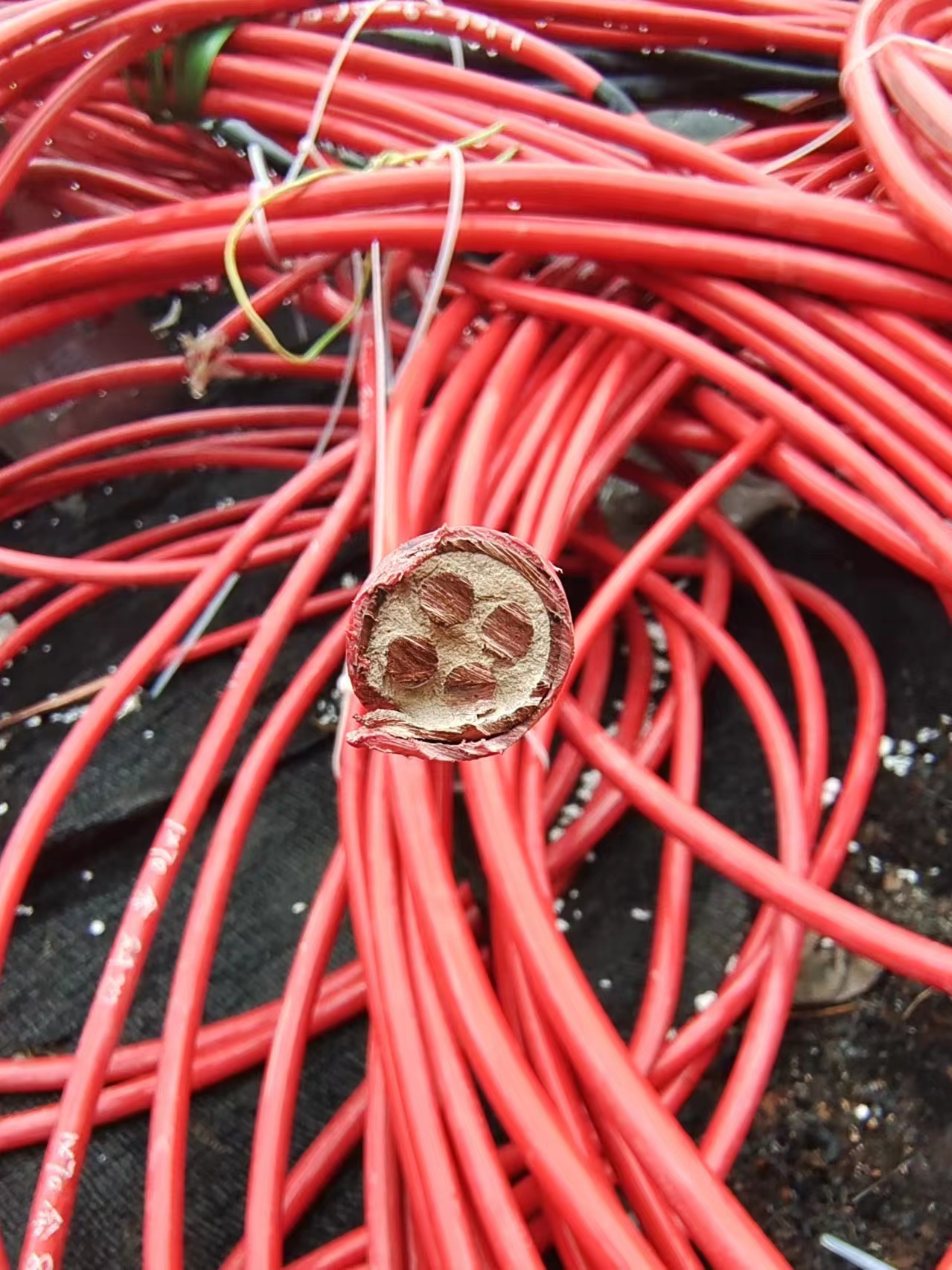 铝电缆回收 低压电缆回收免费估价