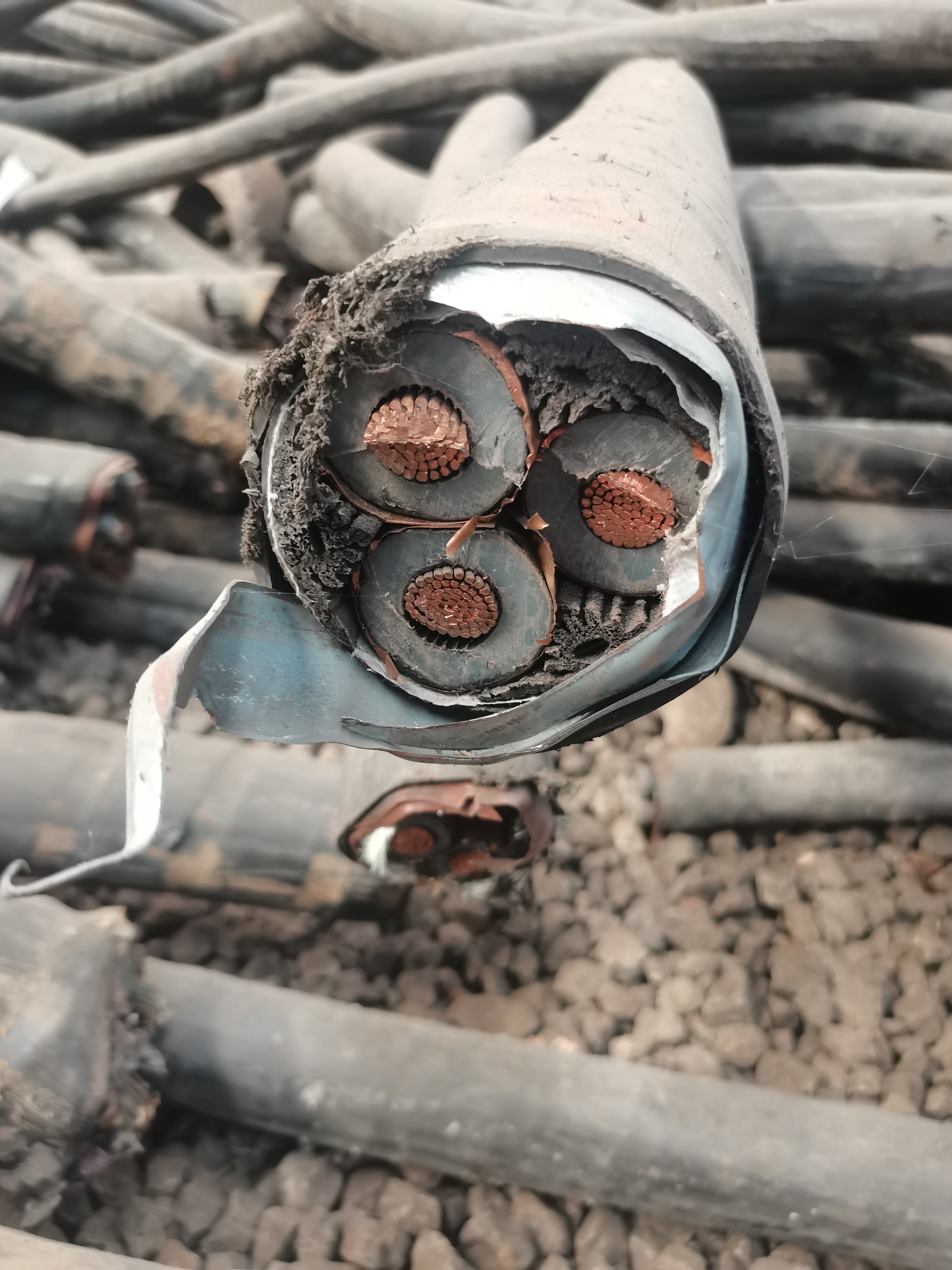 铜电缆回收 高压电缆回收当场结算