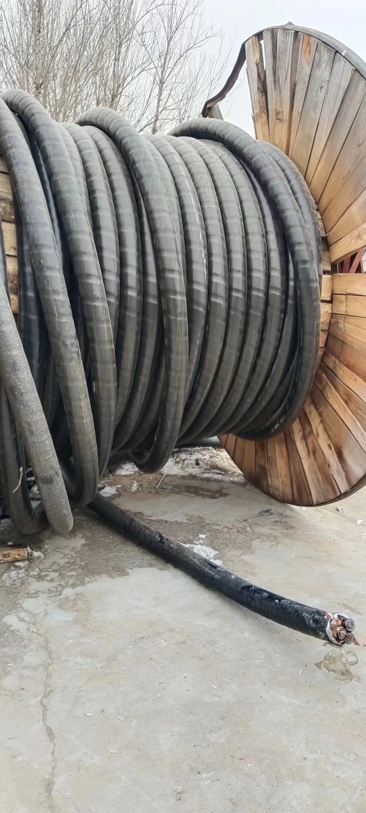 高低压电缆回收 钢芯铝绞线回收团队