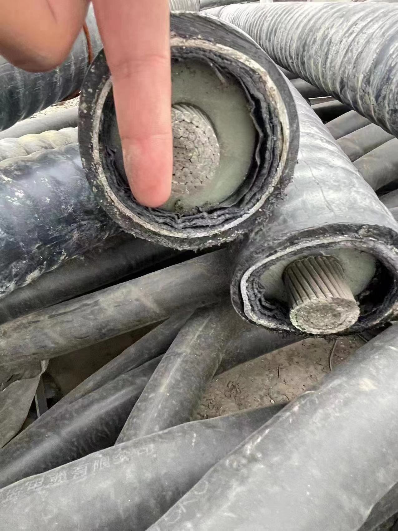 铝电缆回收 海缆回收当场结算