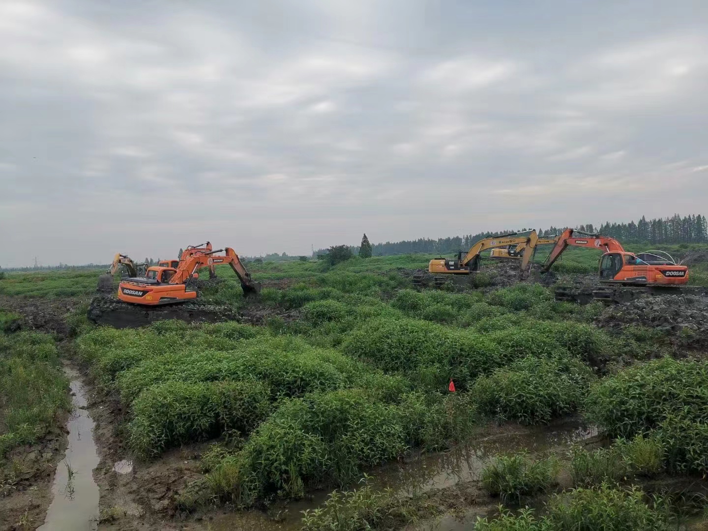 武汉清理水草挖掘机当地