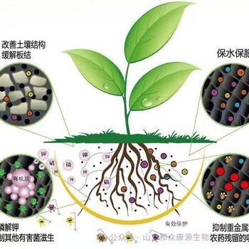 微生物菌肥哈茨木霉农业绿色菌肥