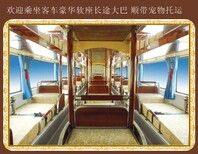 图片0