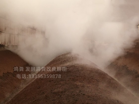 广东广州番禺青州鸡粪改善土壤环境