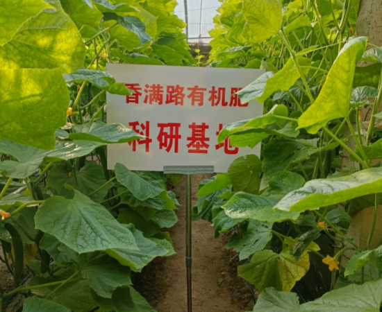 青岛黄岛鸡粪生物肥梁山有机肥厂家怎么联系