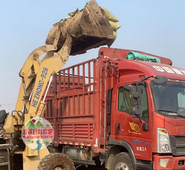 福建三明尤溪聊城临清羊粪在哪里