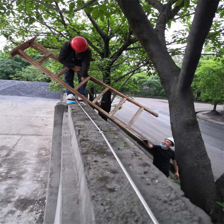 文山大棚喷雾设备 驾校考场智能模拟雨雾