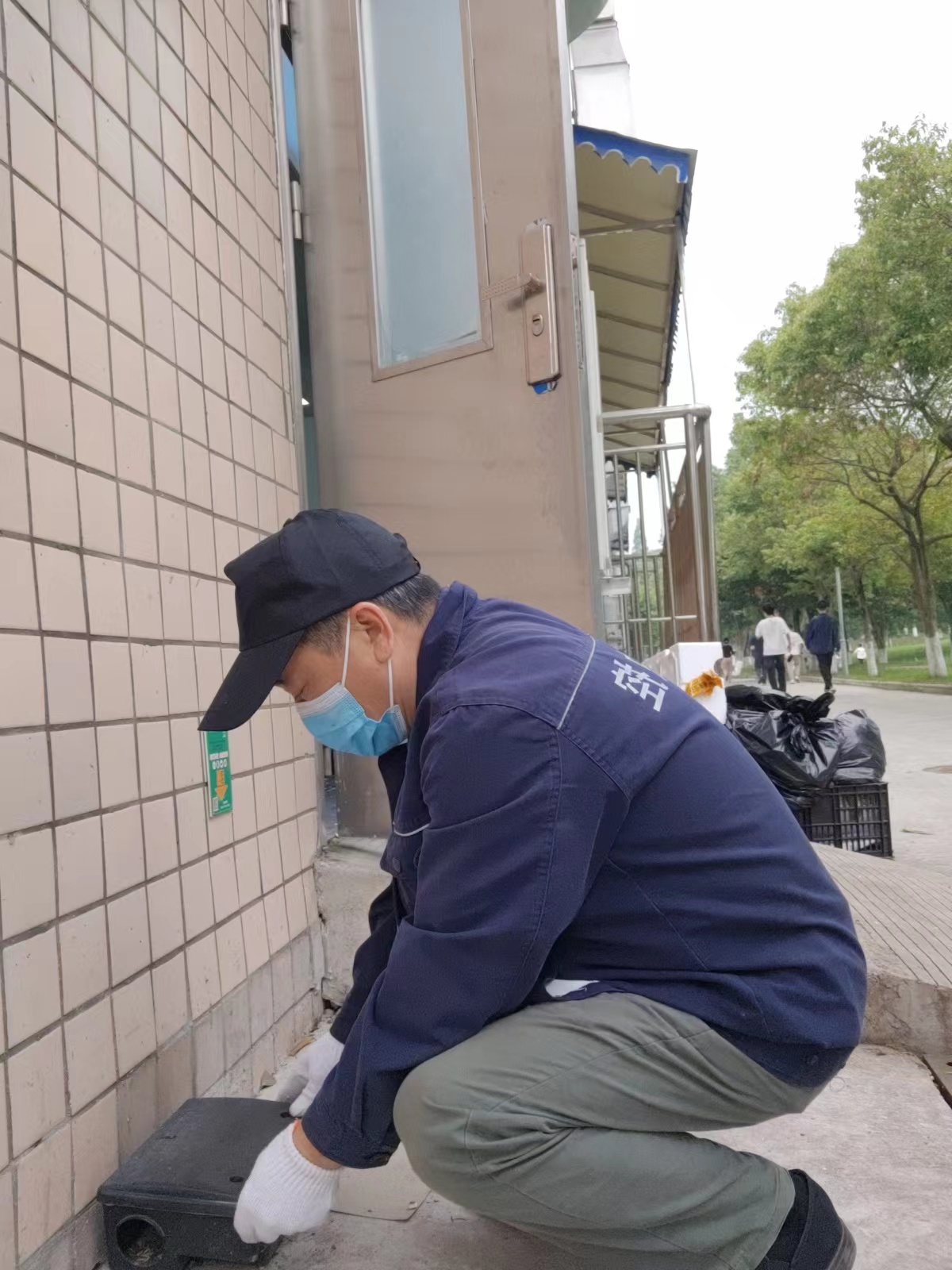 双流区捕老鼠学习德国技术