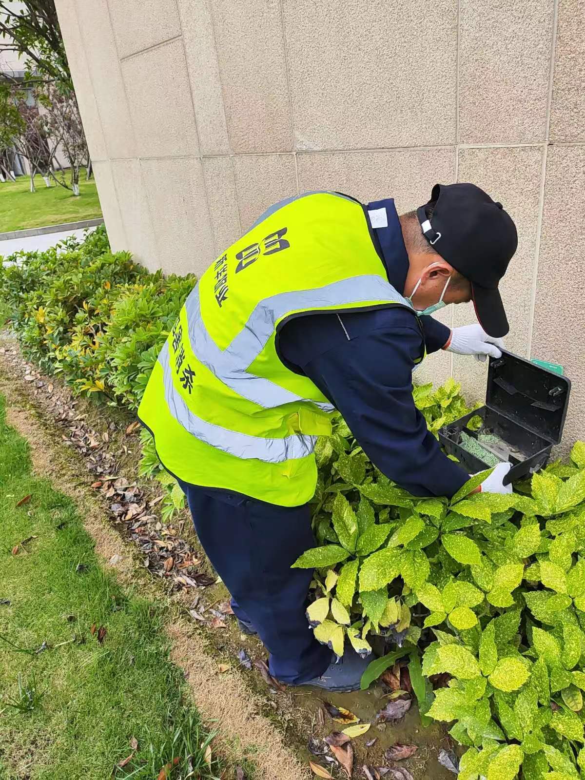 高新区捕老鼠公司物理防制