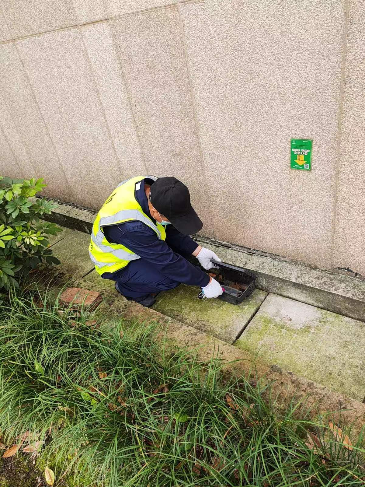 东部新区捕鼠收费