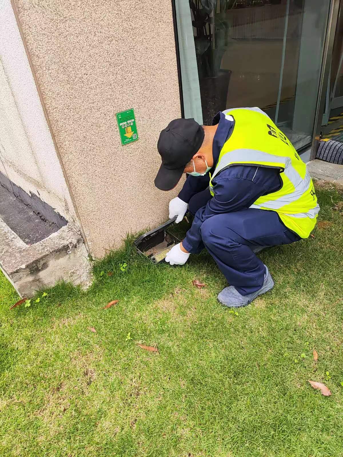 成都逮老鼠化学防控资质