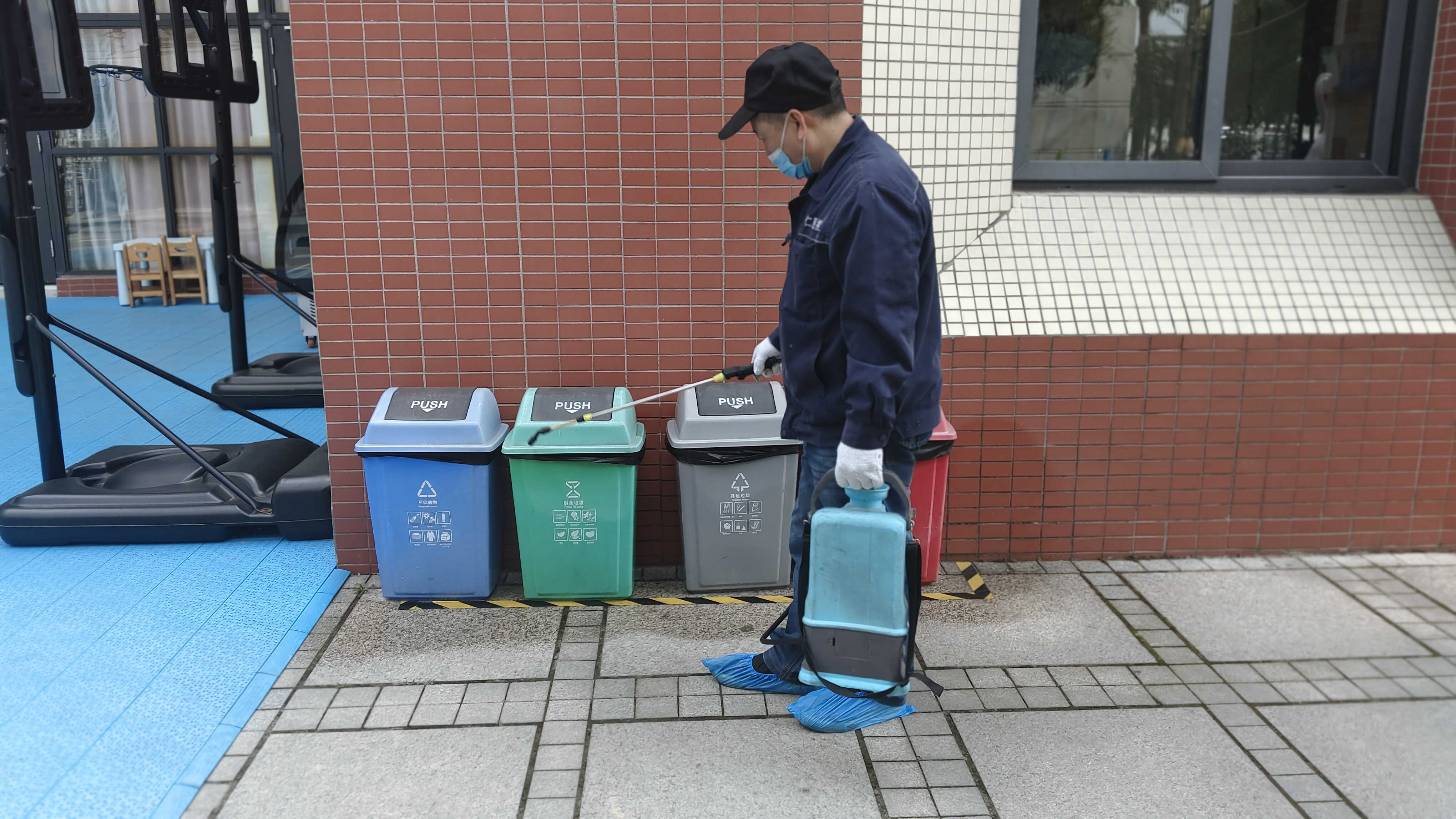 成都杀鼠哪家好