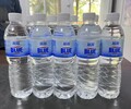 阜阳极沁矿泉水厂送水标签形状定制水竖标logo定制水