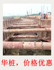 东莞市滨海湾拉森钢板桩施工单位有啊有项目
