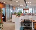 深圳龙华区打钢管桩旋挖桩施工和钢板桩施工公司来了